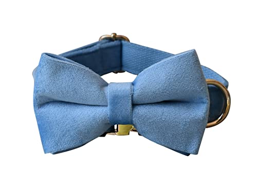 Velvet Dog Collar Personalized With Name Phone Number Engraved, Custom Pet Collars With Metal Buckle(Sky Blue, S) #TOP2