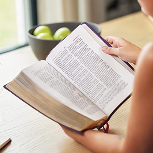 Kjv, Wide-Margin Reference Bible, Sovereign Collection, Leathersoft, Purple, Red Letter, Comfort Pri