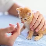 60 sztuk strzykawka z siarą 1 ml z nasadką strzykawki 1 ml strzykawka z tworzywa sztucznego