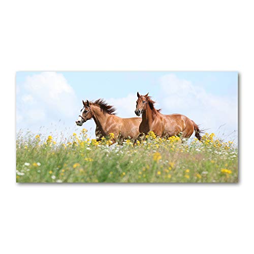 Crédence de cuisine en verre trempé 100x50 cm fond de hotte motif deux chevaux au galop brun