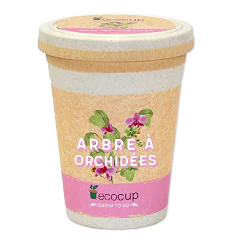 Feel Green Ecocup, Arbre À Orchidées, Idée Cadeau (100% Ecologique), Grow-Your-Own/Kit Prêt-à-Pousser, Plantes Dans Coffee Cup 10 x 8 cm, Produit En Autriche Cover