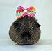 Crochet Rainbow Swirl Bows and Bowties for Guinea Pigs, Bunnies, Hamsters, Chinchillas, & Small Pets (Rainbow Swirl Bowtie)