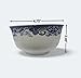 10 Pcs Fine Bone China Blue and White Chinese Soup Bowls Ceramic Porcelain Bowl, with Free 10 Porcelain Spoons Rice Bowl