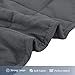 Smart Queen Weighted Blankets for Adults (15 lbs, 48