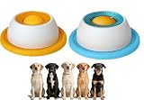 Los Mejores Juguetes para Perros: ¿Qué Productos Son los Más Efectivos para Mantenerlos Entretenidos?