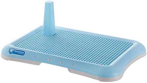 Tapis de propreté chien S : la solution idéale pour l'apprentissage en appartement