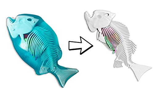 Dissect-It Simulated Synthetic Lab Dissection Toy, Stem Projects For Kids Ages 6+, Animal Science, Biology, Anatomy Home Learning Kit, Great For Young Scientists! - Piranha #TOP5