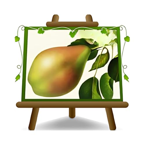 EURO PLANTS VIVAI Poirier Spadona plante fruitière ancienne en pot 20 cm hauteur 150-170 cm - Âge 2 ans