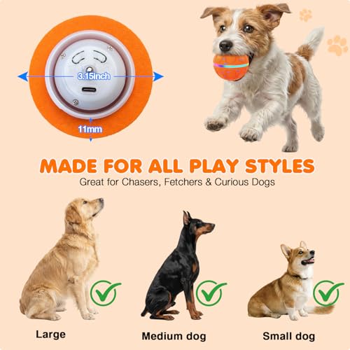 Ckin pet Interactive Hundespielzeugbälle, automatisch, für kleine, mittelgroße und große Hunde (Orange)-7