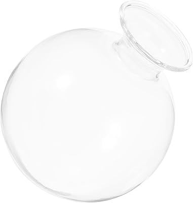 Vase En Verre Transparent Pour Faire Pousser Un Avocat - 14x14 Cm - Cadeau Original Pour Intérieur Et Extérieur - éducatif Et Décoratif