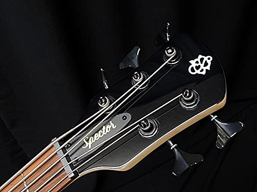【美品】Spector 5弦ベース、希少メイプルネック・ケース付き・送料無料 Spector - 【ESP直営】BIGBOSS オンラインマーケット(ギター