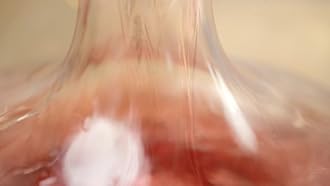 Shappy 2 Pieces Cork Ball Wooden Cork Ball Stopper for Wine Glass Decanter Stopper Replacement Wine Carafe Decanter Bottle Replacement for Christmas Holiday Party Supply (2.4 Inch/ 6.1 cm)