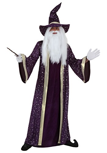 Fun Costumes - Wizard Costume for Adults, Purple Wizard Robe for Magic & Sorcery Dress Up, Cosplay &...