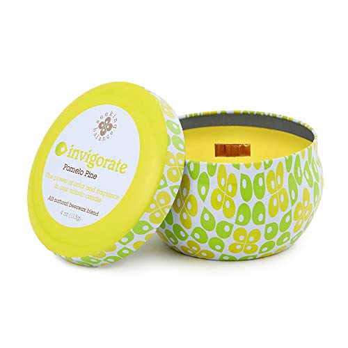 Root Candles Aromatherapy Candles Seeking Balance Spa Traveler Candle, 4-Ounce, Invigorate: Pomelo Pine