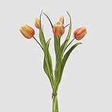 edge of tomorrow 2 EDG Enzo De Gasperi – Bouquet Tulipano Chiuso x4 con Bocciolo Arancione H 40 cmCaldo, energico e raffinato, il bouquet di tulipani chiusi EDG Enzo De Gasperi con bocciolo arancione è la scelta ideale per dare carattere e vitalità agli ambienti interni. La composizione è formata da 4 tulipani artificiali con boccioli chiusi, caratterizzati da una brillante tonalità arancione, perfetta per creare atmosfere dinamiche e accoglienti.Realizzato in plastica di alta qualità, questo bouquet decorativo offre un'elevata resa estetica grazie alla cura dei dettagli, alle sfumature naturali dei petali e alle foglie slanciate e realistiche. Con un'altezza di 40 cm, è ideale per vasi decorativi, centrotavo
