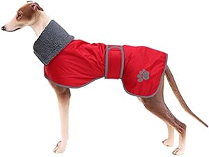 Geyecete Abrigo Impermeable Galgo