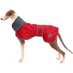 Dog Winter Coat Geyecete Greyhound raincoat fabric with lamb velvet inside Outdoor Dog Apparel with Adjustable Bands For Medium, Large Dog-Red-M