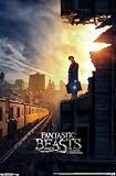 Trends International Fantastic Beasts And Where To Find Them - One Sheet Wall Poster, 22.375' x 34', Unframed Version