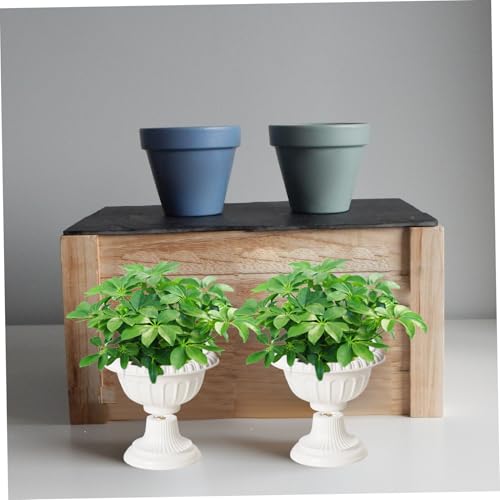 Urn Plardier détachable évite la stagnation d'eau des plantes surélevées