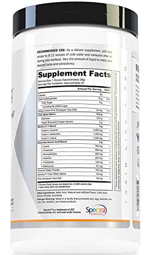 Image of Repair Post Workout Recovery Drink: Fast Absorbing Carbohydrates (Waxy Maize + Cluster Dextrin) and BCAA /EAA for Advanced Muscle Recovery, Peach Mango, 20 Servings