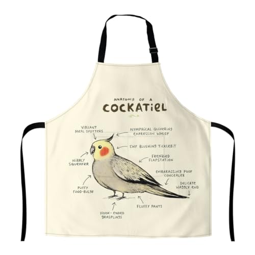 [HCZION] Gv IJCR  Lb`Gv Y fB[X | ߉\ DIY JtFGv  lp |Pbgt  