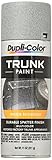 Dupli-Color Trunk Paint, Gray & White, 11 oz