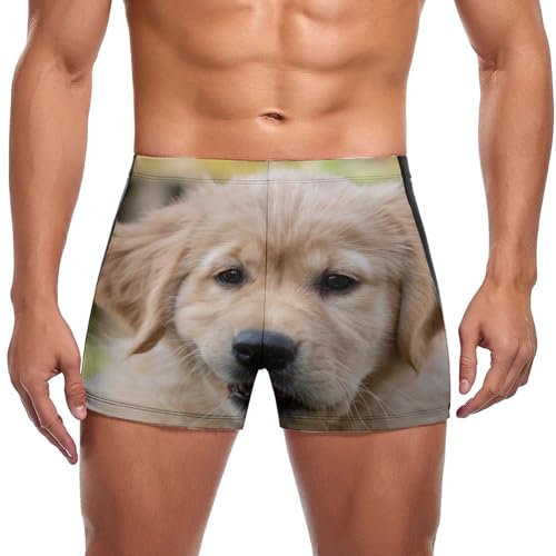 Maillot de bain homme slip short de bain boxer chiot