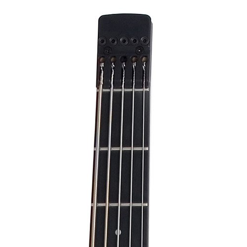 Amazon | Steinberger Synapse XS-15FPA CST TA エレキベース