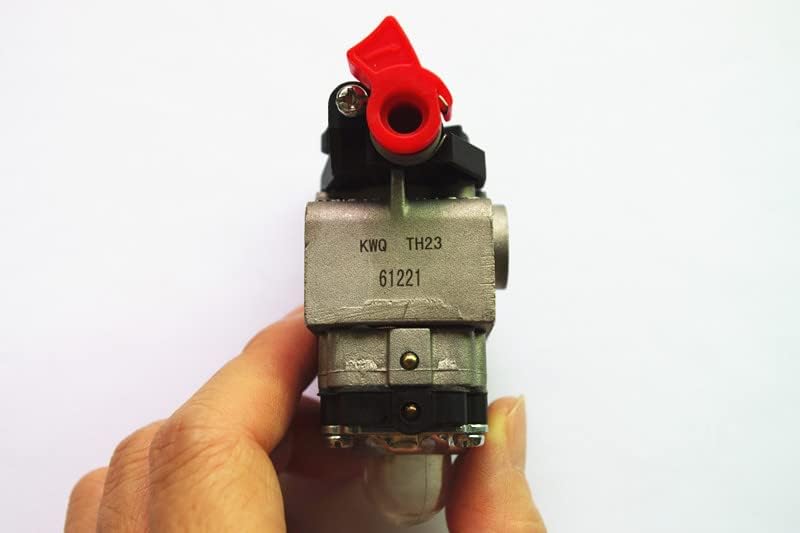 IFF Bidding has started for the future stars in Zangersheide Online