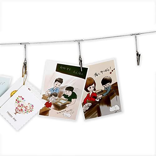 TFu Multi-Purpose Steel Wall Hanging Photo Display Cable Wire Rod String with 12 Clips for Hanging Photos Notes and Artworks (Alligator Clip)