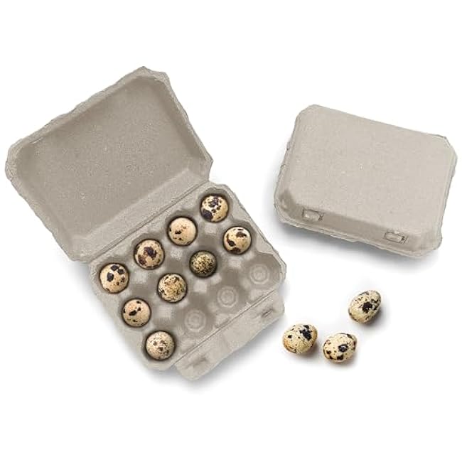 Henlay Quail Egg Cartons - Recycled Cardboard Paper Pulp 3x4 Square Style - Holds One Dozen Eggs (30)