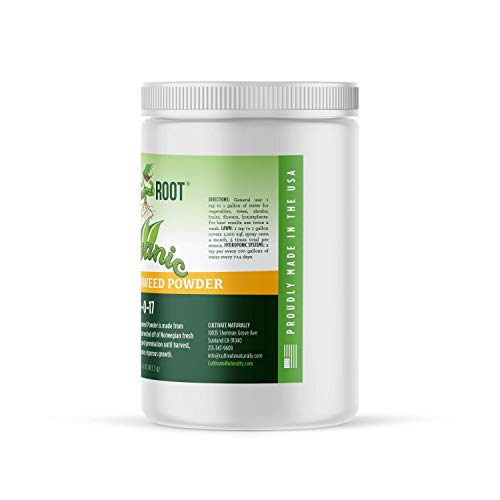 Polvo soluble orgánico de algas marinas 0-0-17 1 lb miniatura 3