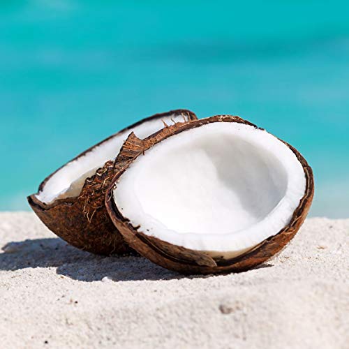 Caribbean Coconut Fragrance Oil (1 Oz Bottle) For Candle Making, Soap Making, Tart Making, Room Sprays, Lotions, Car Fresheners, Slime, Bath Bombs, Warmers… #TOP1
