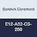 Sandvik Coromant E12-A32-CS-250 Steel Cylindrical Holder for Exchangeable-Head, 1 Number of Flutes, 250 mm Length (Pack of 1)