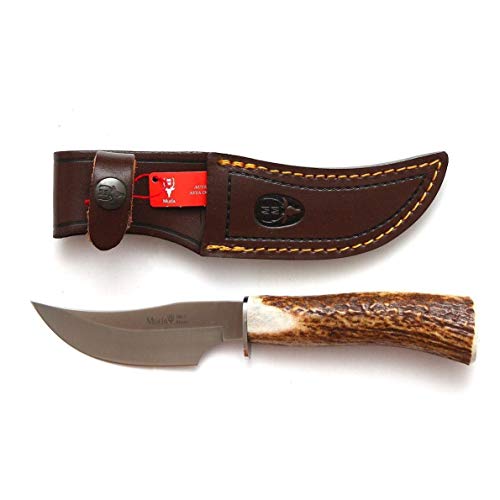 Muela Cuchillo DP-10A hoja de acero MoVa de 10 cm y empuñadura de asta de ciervo para Caza, Pesca, Supervivencia y Bushcraft Realizado en Ciudad Real + Portabotellas de regalo Muela Cuchillo DP-10A hoja de acero MoVa de 10 cm y empuñadura de asta de ciervo para Caza, Pesca, Supervivencia y Bushcraft Realizado en Ciudad Real + Portabotellas de regalo