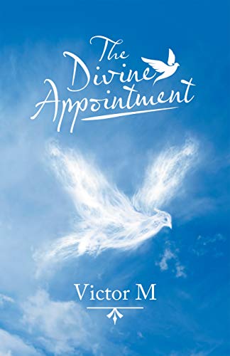 The Divine Appointment (English Edition)