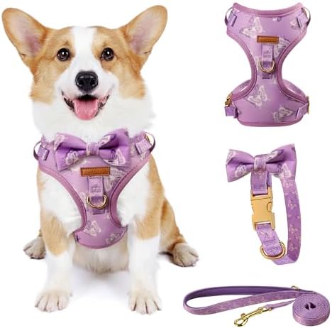Cute Dog Collar, Harnesses & Leash Set with Gold Colored Metal Components – Breathable and Adjustable Dog Collar and Leash Set with Bowtie – Soft Dog Vest Harness for Puppies Small and Medium Dogs