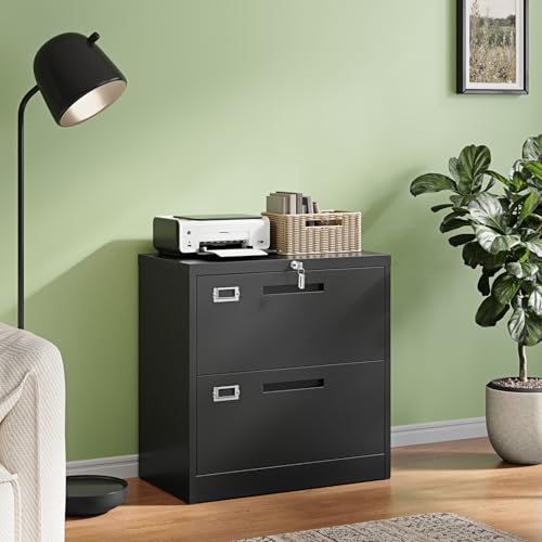 Image of Letaya 2 Drawer File Cabinet with Lock,Metal Lateral Filing Cabinet for Home Office,Hanging Letter /Legal /A4 Size (Black, H27.95xW28.35xD15.74)
