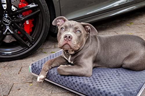 Modernpet Roupa Para Cachorro Moletom Com Capuz Cinza - Tam. Pp