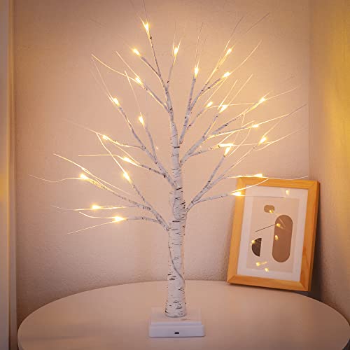 Woohaha Birch Tree Christmas Decorations Indoor for Home,2ft 24LED Warm White Light Up Birch Tree，Battery&USB Tabletop Timer Artificial Mini Christmas Tree with Lights for Holiday Party Wedding