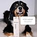 heybruno Hundekamm Langhaar mit drehbaren Zinken - Profi Fellpflege Kamm für Große Hunde & Unterwolle - Ergonomischer Holzgriff - schmerzfreies Entwirren & Knoten lösen - 31 rotierende Zähne