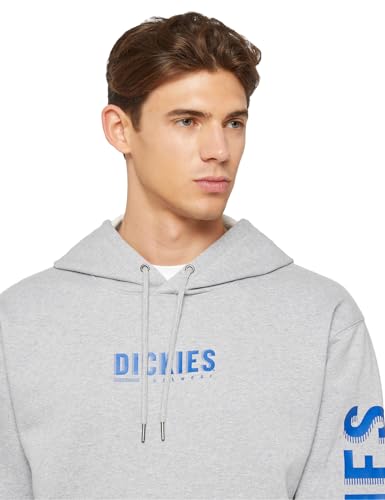Dickies Pullover Fleece Homme DWR pull déperlant avec sweat graphique