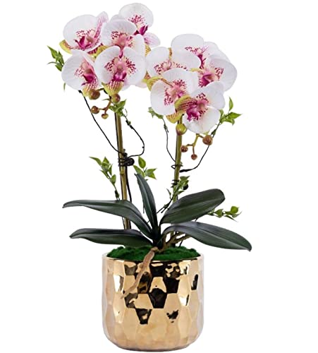Orchidée artificielle phalaenopsis haut de gamme avec vase céramique or