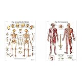 Produkt 1: Praktisches Posterformat (50x67 cm)