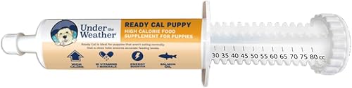 Under the Weather Pet  Ready Cal for Puppies 80cc  Suplemento nutricional para cachorros alto en calorías  Ganador de peso para cachorros y refuerzo
