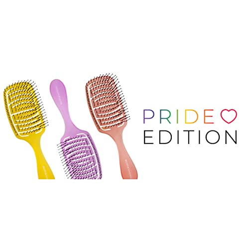 Cepillo Olivia Garden iDetangle Pride ventilado para peinar pelo medio mojado 5