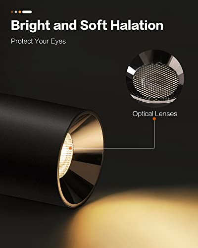 Okeli Flush Mount Led Ceiling Spot Light, 20W Dimmable Cylinder Overhead Lights Fixture, Modern Aluminum Matte Black Low Profile Lighting For Kitchen, Hallway, Foyer, Entryway, 4000K, Natural Light #TOP2