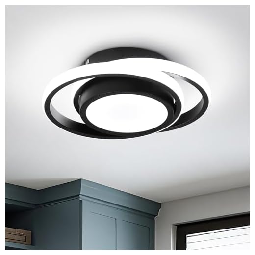 CANEOE Small Modern LED Ceiling Light,2 Rings Creative Design Ceiling Lamp Black Indoor Hallway Light Fixtures for Living Room Bedroom Kitchen Office (Cool White,6000K)