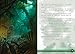 Dungeons & Dragons: Into the Jungle: An Endless Quest Book