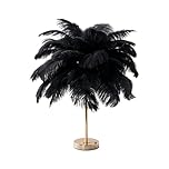 Creative Black Ostrich Feather Table Lamp Bedside Lamp Light Luxury and Elegant Lampshade Night Light Table Lighting for Living Room Bedroom Home Decoration, Plug-in